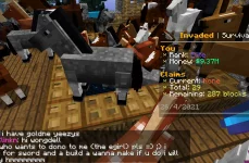 Horse Party.webp