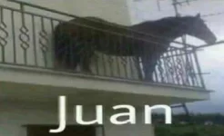 1619521056892.webp