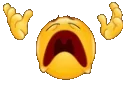 815812235657871382.webp
