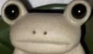 frog (2).webp