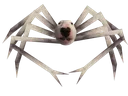 walterspider.webp