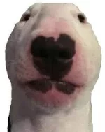 1624133079663.webp