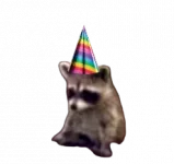Birthday Raccoon.webp