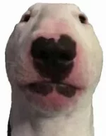 1624876442150.webp
