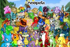 2020609-neo_2y4f.webp