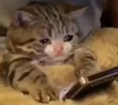 1631048423633.png