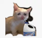 1631048436029.png