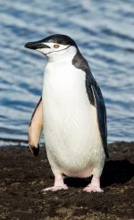 20210929_230929.webp
