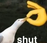 1632949159528.webp