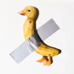 CD3AF3FD-3B3D-4DB3-9F77-B4ACC8581934.webp