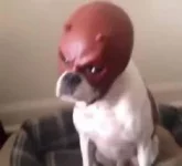 1641684921200.webp