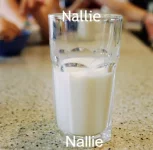 nallie.webp