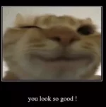 1657120216264.png