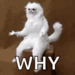 1667928604487.webp