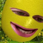 1669148405669.webp