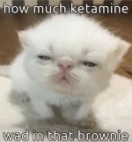 1675913569513.webp