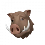 image1.webp