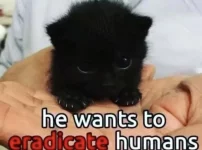 im-actually-kind-of-offended-v0-rfgysma25w0b1.webp