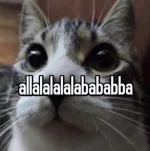 1686421502181.webp