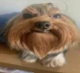 1689662948900.webp