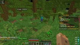 screenshot of wildreness.webp