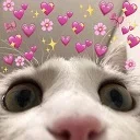 catschem.webp