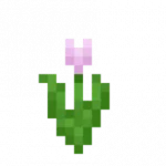 Pink_Tulip.webp