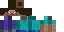 steve.webp