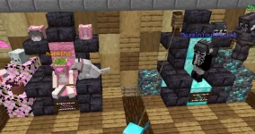 Napkin & Moss.webp