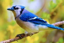 1767670557208.webp