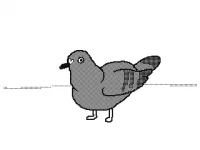 1767840161813.webp