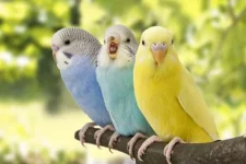 1768408525231.webp