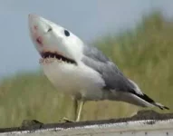 1770051203779.webp
