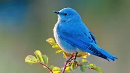 1770136931559.webp