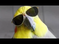 1770227959845.webp