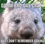dam bro das crazy.webp