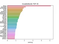 leaderboards.webp
