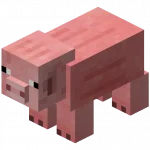 1589994572721.webp