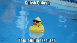 splish splash.webp