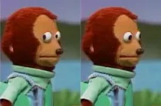 Awkward Look Monkey Puppet | Know Your Meme