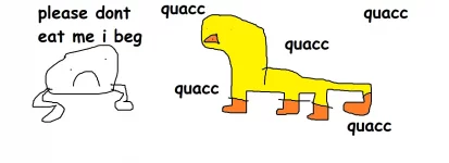 zDUCK.webp