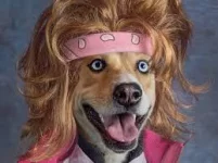 1590892133227.webp