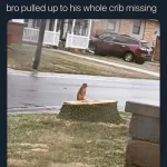 l-61084-bro-pulled-up-to-his-whole-crib-missing.webp