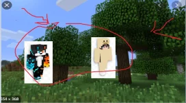 dfrgthyjhgfdfghj.webp