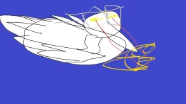 Duck.webp