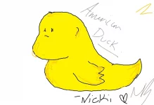 american duck.webp
