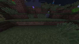 papisigns.png