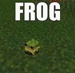 frog.webp