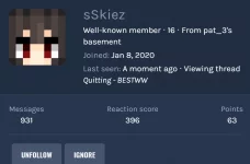 sskiez.PNG