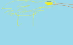 Duck 4.webp